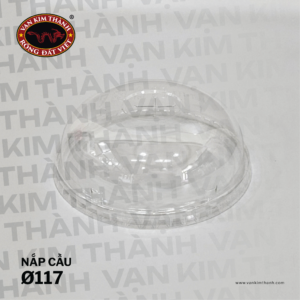 Nắp Cầu Ø117