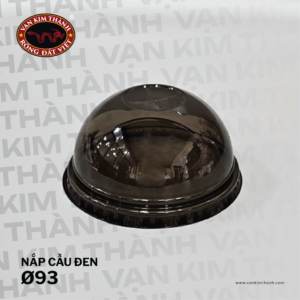 Nắp Cầu Đen Ø93